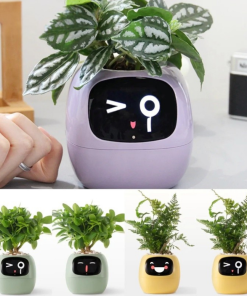 Pot de plantage intelligent